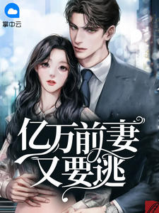 霍司爵温翔翔 封面