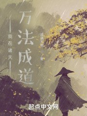我在诸天万法成道 封面
