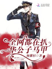 华紫菀傅绍爵 封面