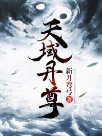 天域丹尊 封面