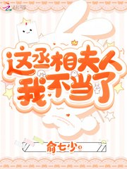白初沈砚 封面