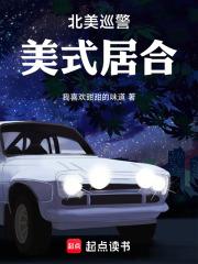 北美巡警：美式居合 封面
