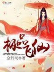 极品飞仙 封面