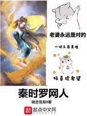 秦时罗网人 封面
