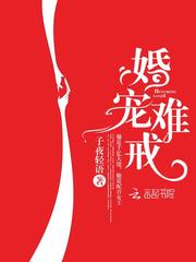 婚宠难戒 封面