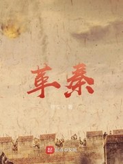 革秦 封面