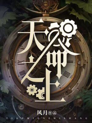 天命之上 封面
