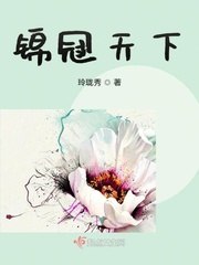 锦冠天下 封面