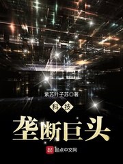 科技垄断巨头 封面