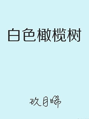 白色橄榄树 封面