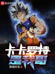 龙珠之卡卡罗特是我哥 封面