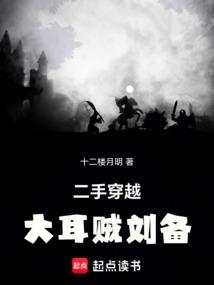 二手穿越：大耳贼刘备 封面