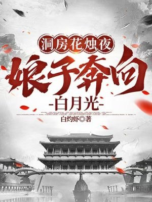 洞房花烛夜，娘子奔向白月光 封面