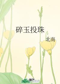 碎玉投珠 封面