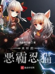 木叶的恶霸忍猫 封面