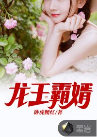 龙王霸婿 封面