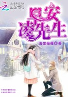 早安，凌先生 封面