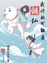 我修的可能是假仙 封面