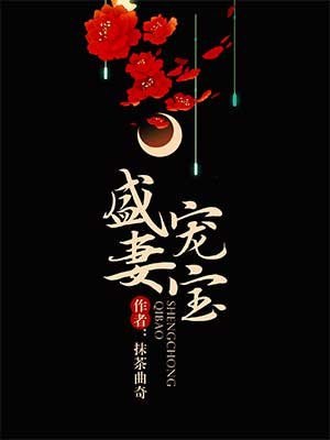 盛宠妻宝 封面