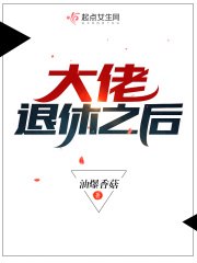 大佬退休之后 封面