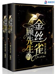顾先生的金丝雀 封面