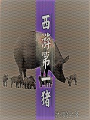 西游第一猪 封面
