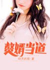 神都猛虎 封面