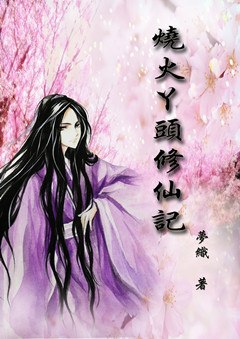 烧火丫头修仙记 封面