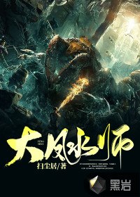 大风水师 封面