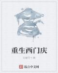 重生西门庆 封面