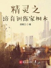 精灵之培育训练家桐木 封面