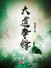 大道争锋 封面