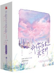 许你万丈光芒好 封面