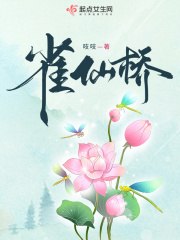 雀仙桥 封面