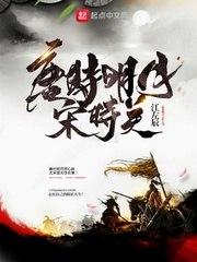 唐时明月宋时关 封面