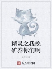精灵之我挖矿养你们啊 封面