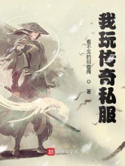 我玩传奇私服 封面