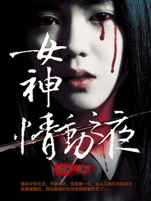 女神情动之夜 封面