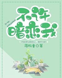不许暗恋我 封面