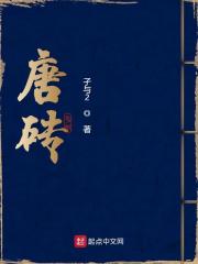 唐砖 封面