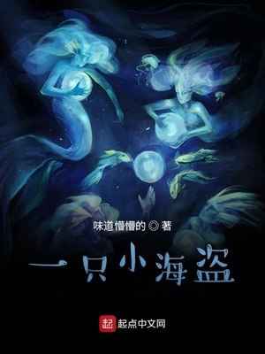 一只小海盗 封面