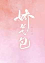 娇气包 封面