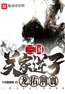 西夏死书 封面
