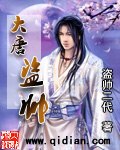 大唐盗帅 封面