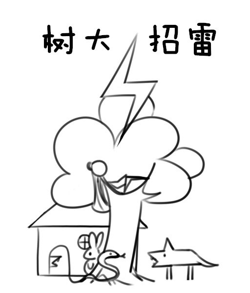 树大招雷 封面