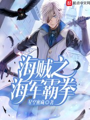 海贼之海军霸拳 封面