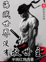 海贼世界没有救世主 封面