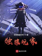 独狼玩家 封面