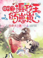 我可能不爱你了苏叶 封面