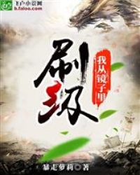 我从镜子里刷级 封面
